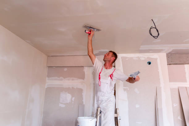 Professional Drywall and Painting Service in Round Lake Beach, IL